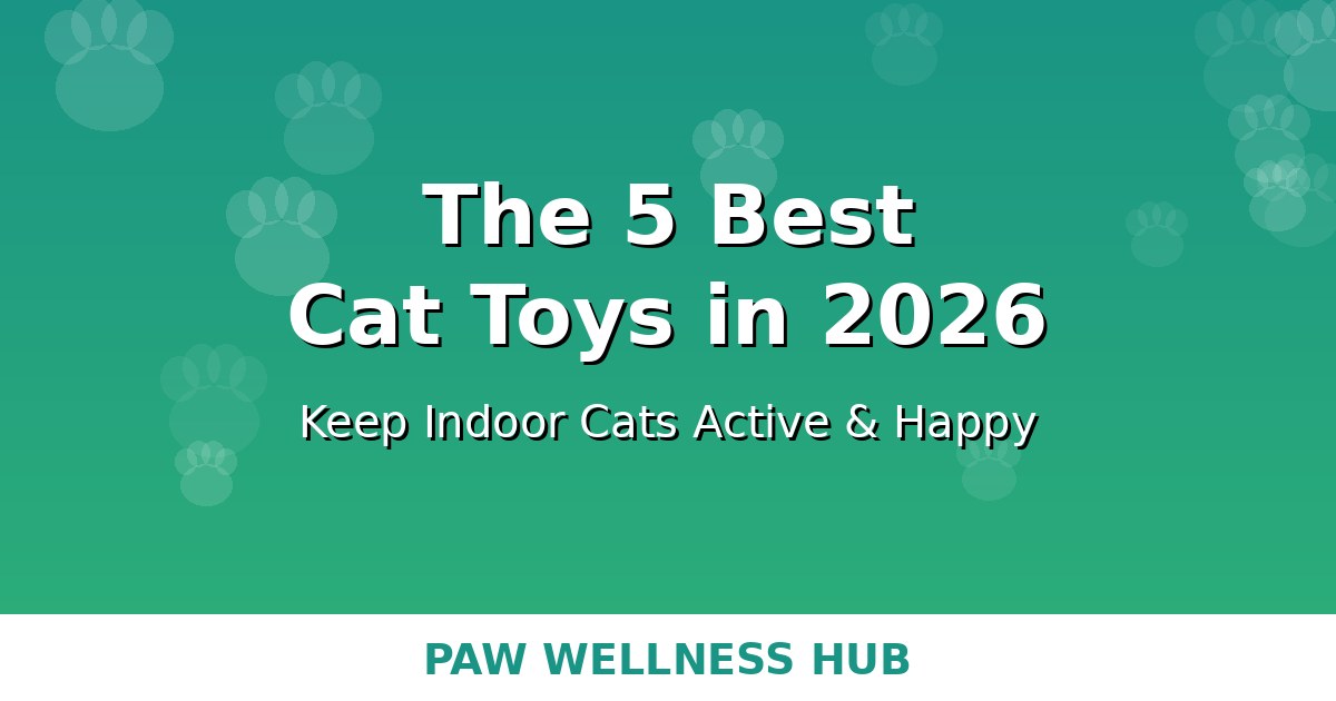 The 5 Best Cat Toys in 2026 (Keep Indoor Cats Active)