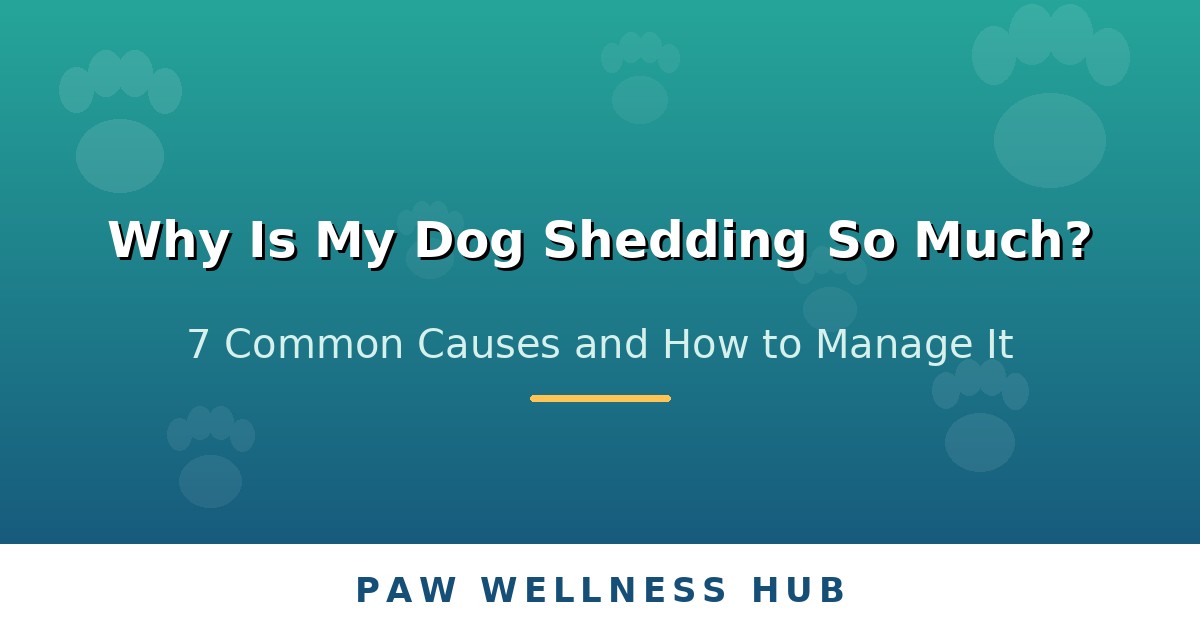 Why Is My Dog Shedding So Much? 7 Common Causes (and How to Manage It)