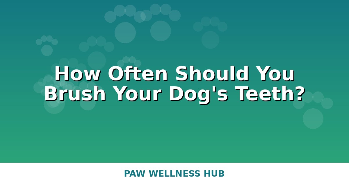 How Often Should You Brush Your Dog’s Teeth? (Vet-Backed Guide)
