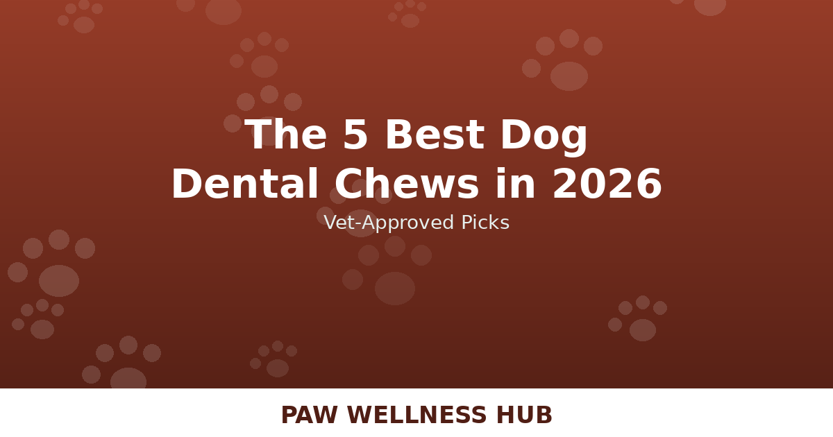 The 5 Best Dog Dental Chews in 2026 (Vet-Approved Picks)