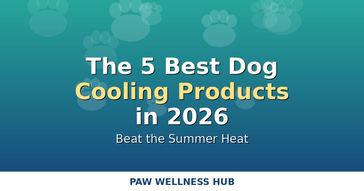 The 5 Best Dog Cooling Products in 2026 (Beat the Summer Heat)