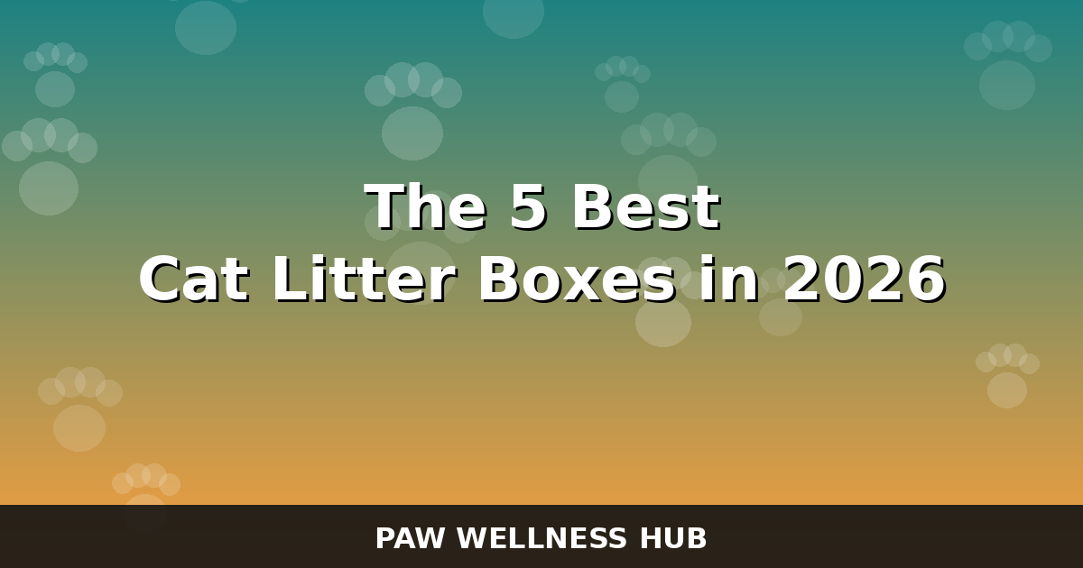 The 5 Best Cat Litter Boxes in 2026 (Odor Control & Easy Cleanup)