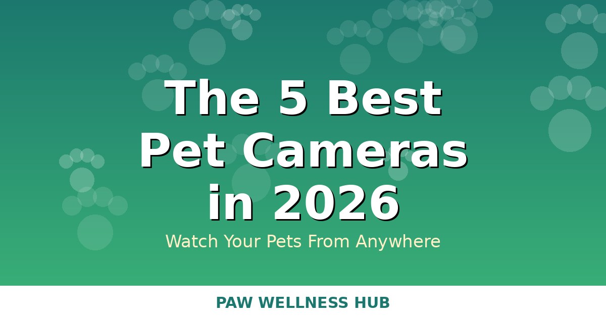 The 5 Best Pet Cameras in 2026 (Watch Your Pets from Anywhere)