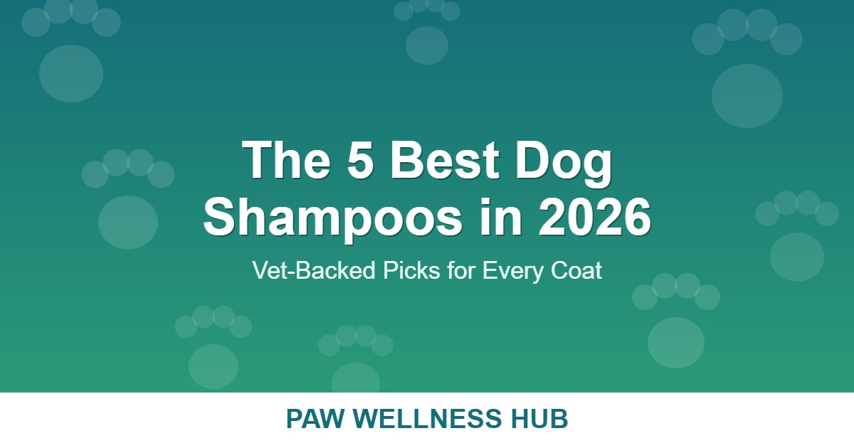 The 5 Best Dog Shampoos in 2026 (Vet-Backed Picks for Every Coat)