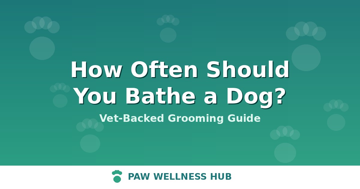 How Often Should You Bathe a Dog? (Vet-Backed Grooming Guide)